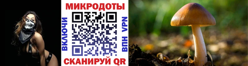 Галлюциногенные грибы мицелий  купить   Шарыпово 